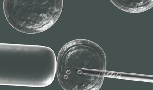 Ljudski embriji prihvaćaju asimetriju kako bi formirali tijelo