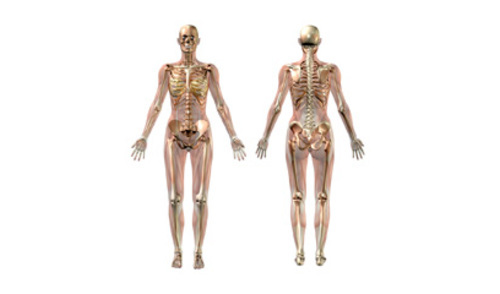 Različiti metaboliti u osteopeniji i osteoporozi Različiti metaboliti u osteopeniji i osteoporozi