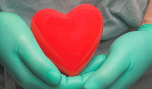 Preživljenje primatelja srca nakon cirkulacijske i moždane smrti darivatelja Preživljenje primatelja srca nakon cirkulacijske i moždane smrti darivatelja